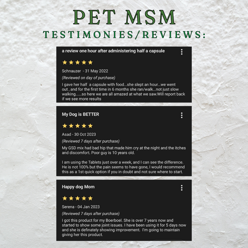 Pet MSM Pain Relief 60 Capsules