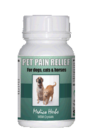 Pet MSM Pain Relief 60 Capsules