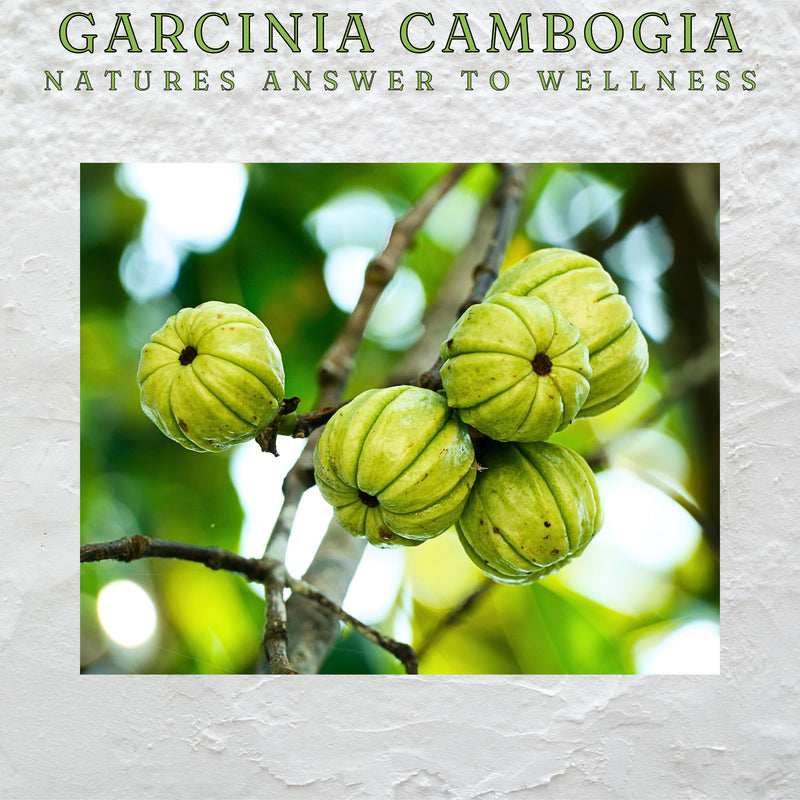 Garcinia  Capsules 60s