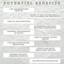 Artemisia Afra Capsules