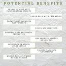 Devil's Claw Capsules - 90s