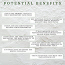 Pelargonium Sidoides (50ml)