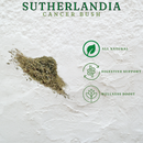 Sutherlandia Tea (Loose Cut 50g)
