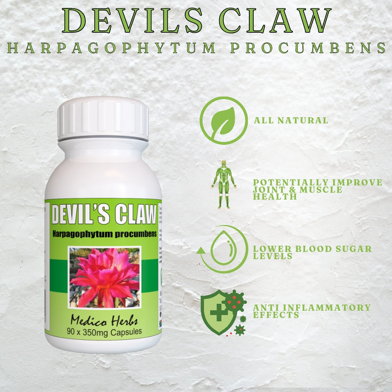 Devil's Claw Capsules - 90s