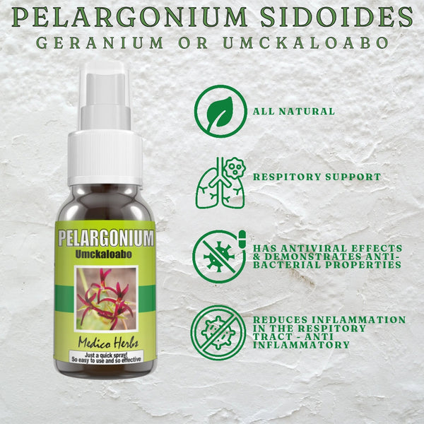 Pelargonium Sidoides (50ml)