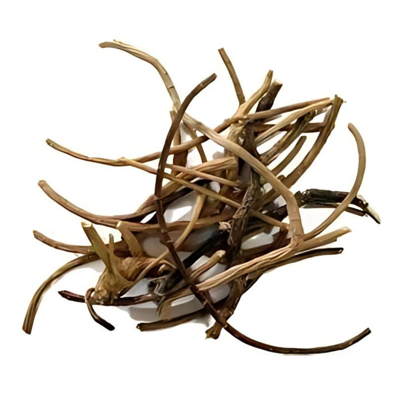 African Dream Root, Silene capensis (Ubulawu) Undulata 10g