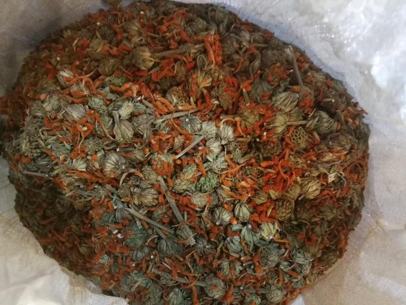 Wild Dagga (Leonotis Leonurus) Flowers & Petals – 910g